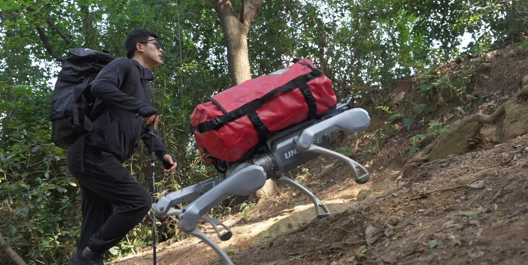 Ondersteunend beeld bij het artikel