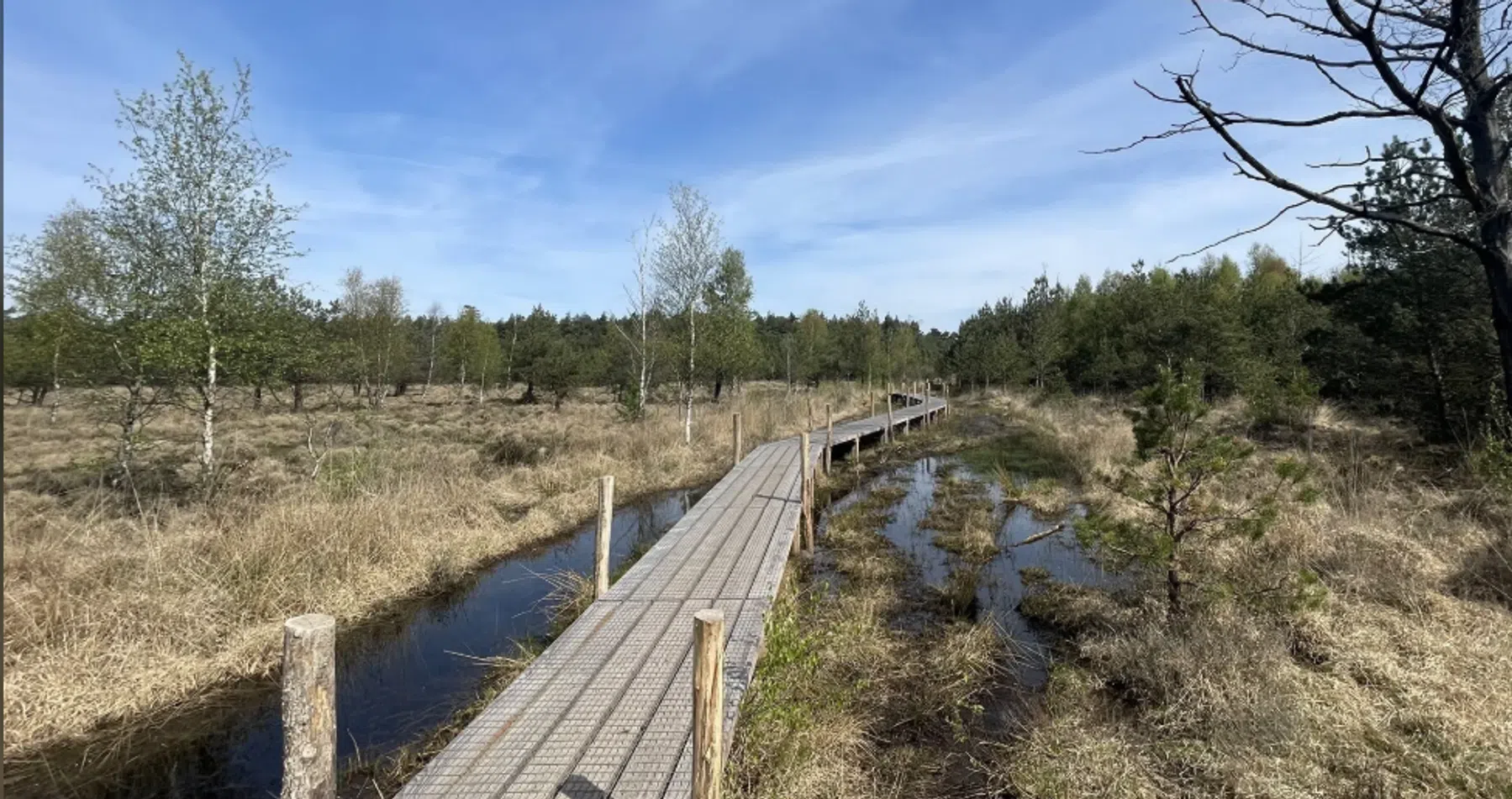 Ondersteunend beeld bij het artikel