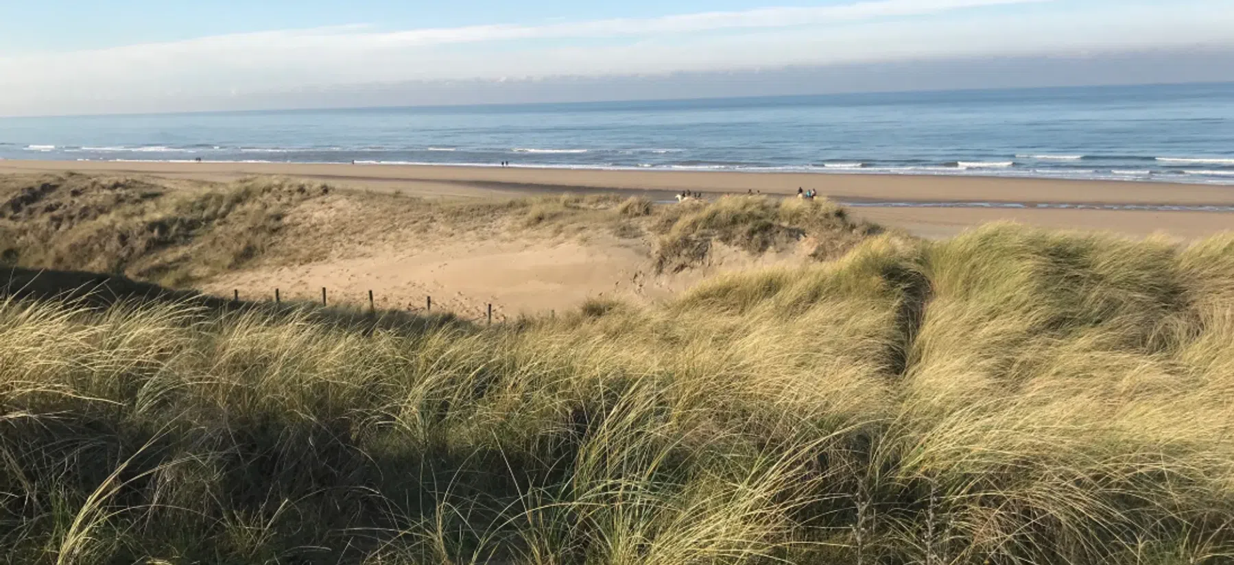 Ondersteunend beeld bij het artikel