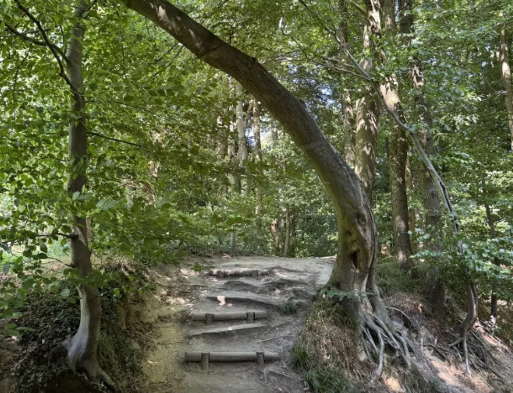 Ondersteunend beeld bij het artikel