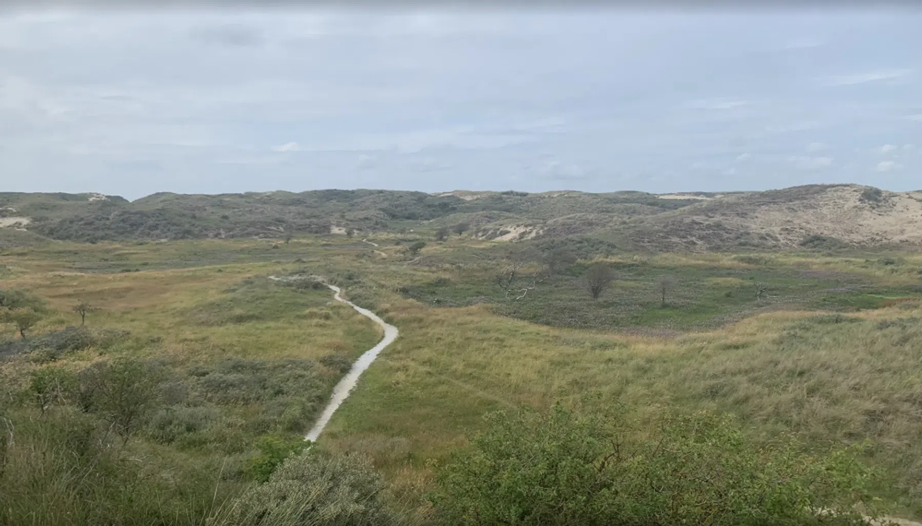 Ondersteunend beeld bij het artikel