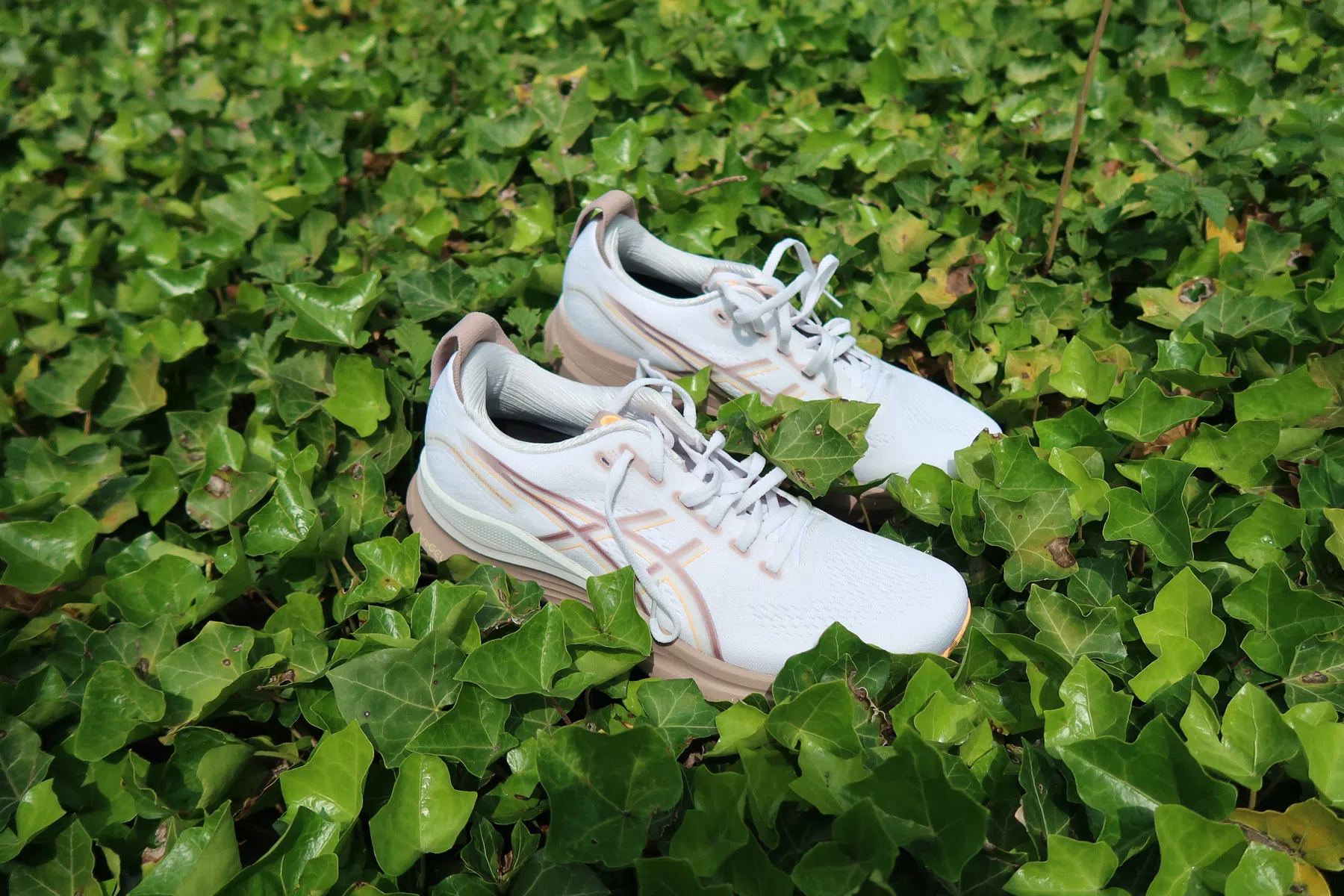 Ondersteunend beeld bij het artikel