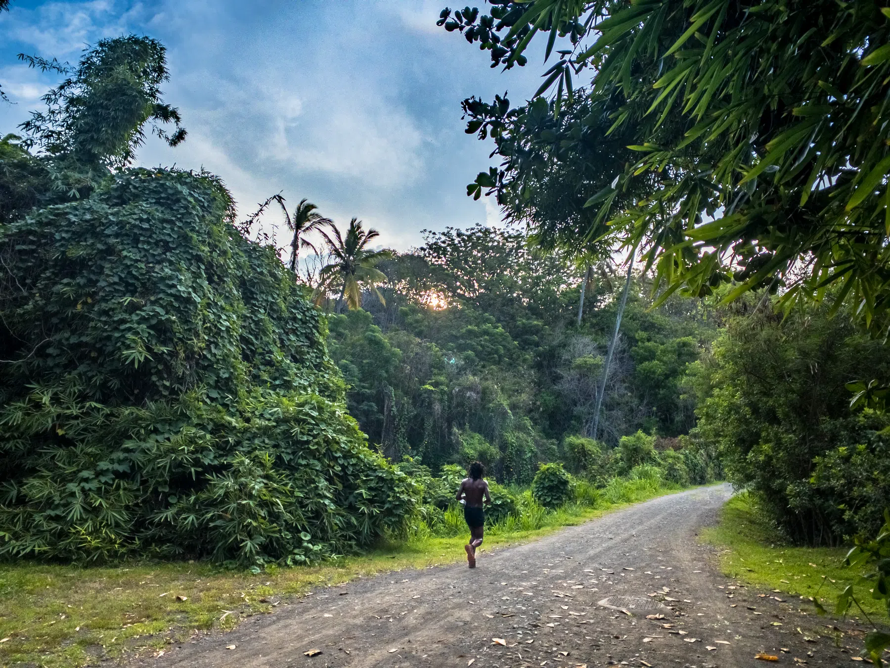 La Diagonale des Fous