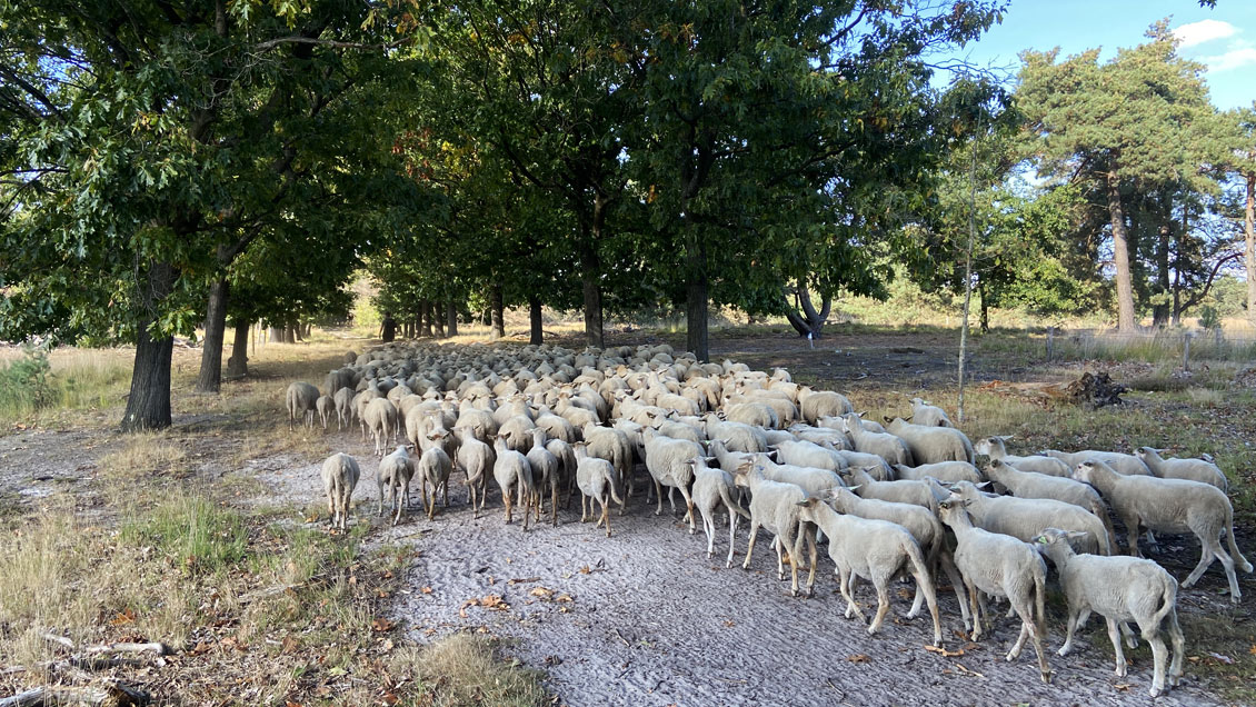 Bikepacken in Nederland