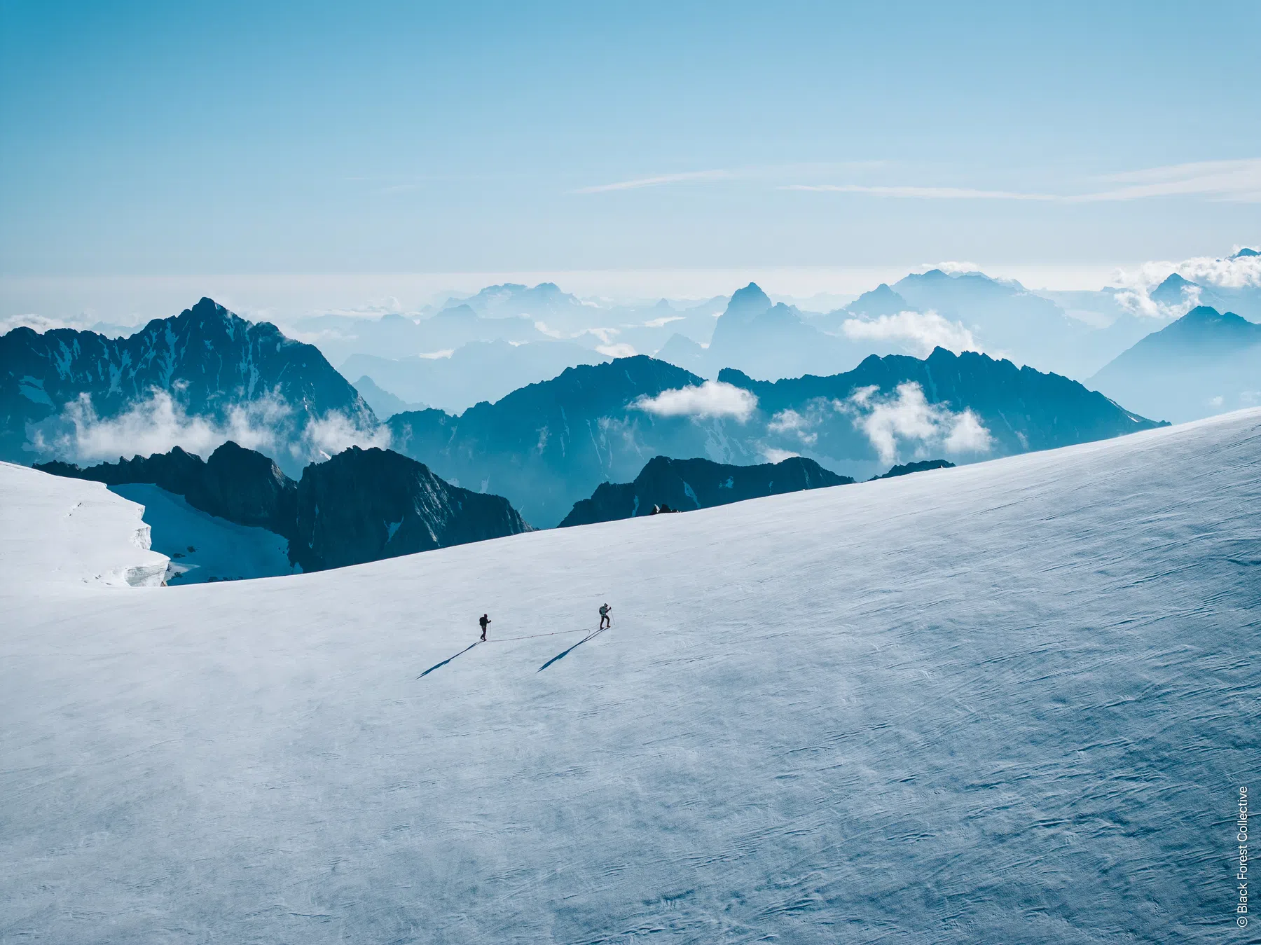 Black Forest Collective