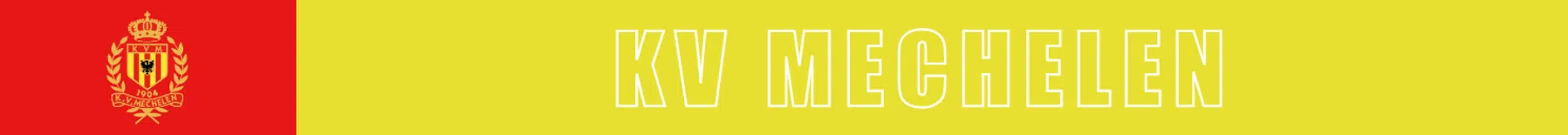 Ondersteunend beeld bij het artikel