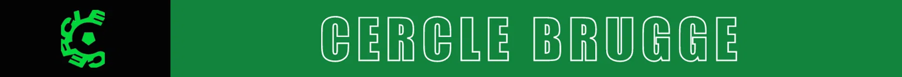 Ondersteunend beeld bij het artikel