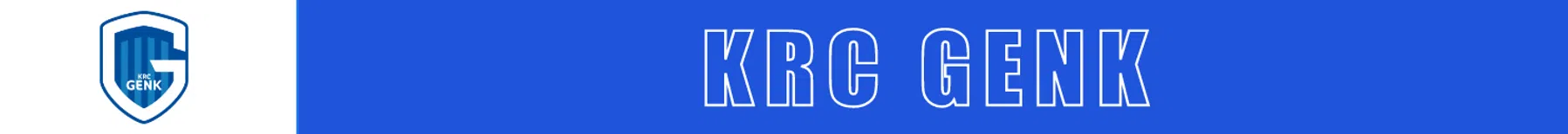 Ondersteunend beeld bij het artikel