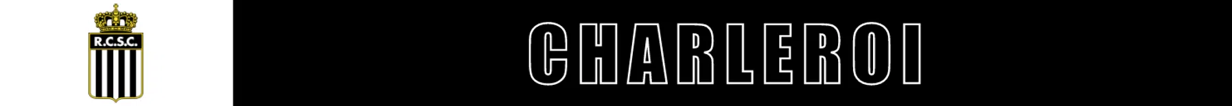 Ondersteunend beeld bij het artikel