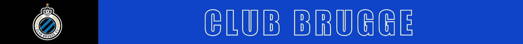 Ondersteunend beeld bij het artikel