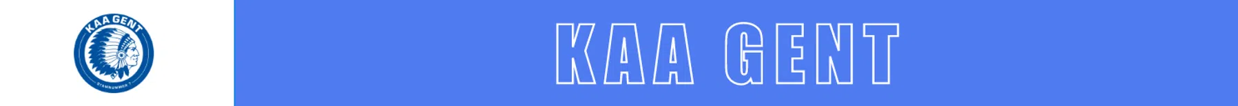 Ondersteunend beeld bij het artikel