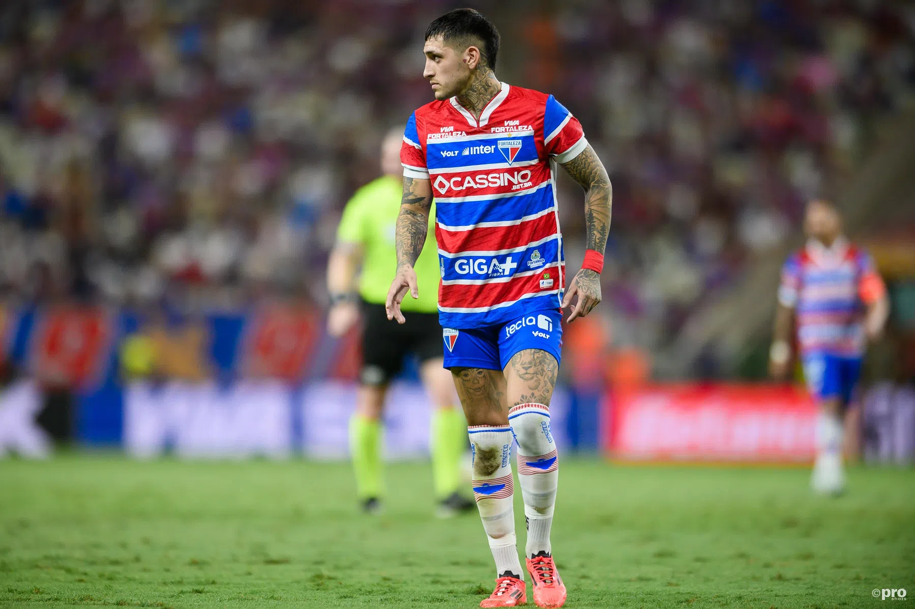 Ondersteunend beeld bij het artikel