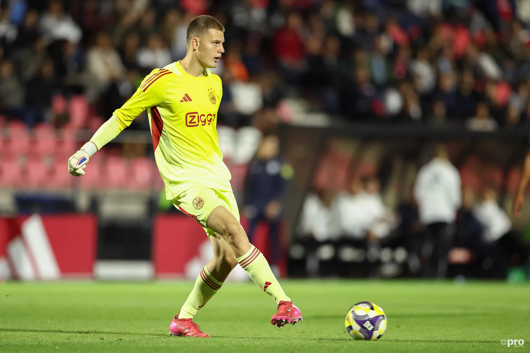 Ondersteunend beeld bij het artikel