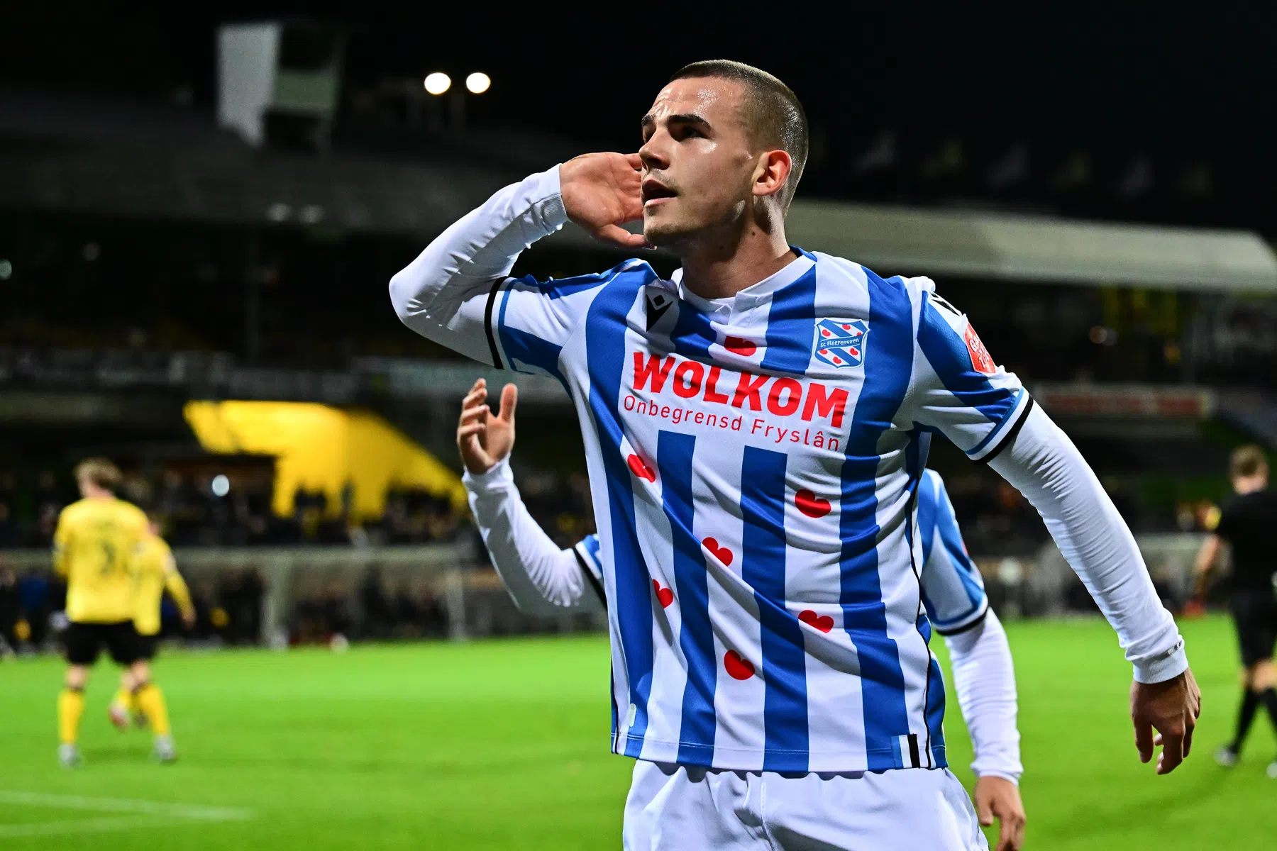 Ondersteunend beeld bij het artikel