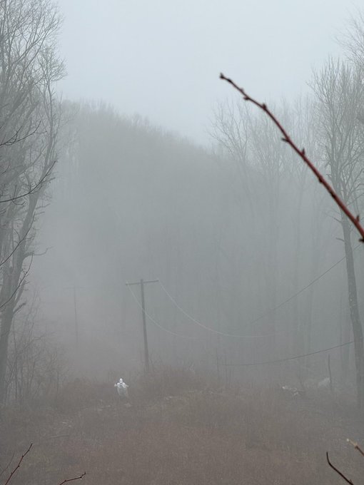 Door de mist was het dit jaar extra moeilijk navigeren