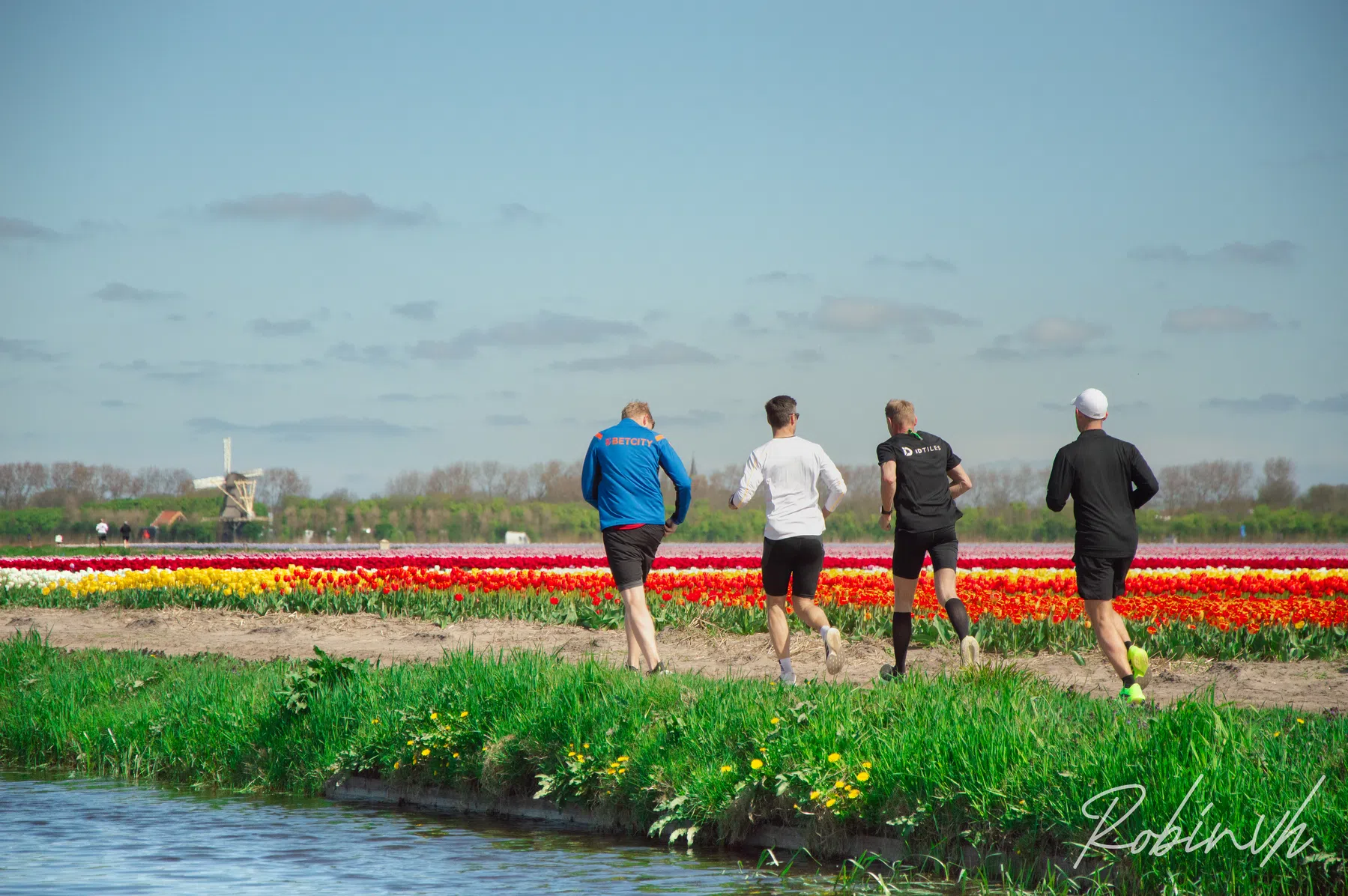 Bloeiend Zijpe Tulpen Trail