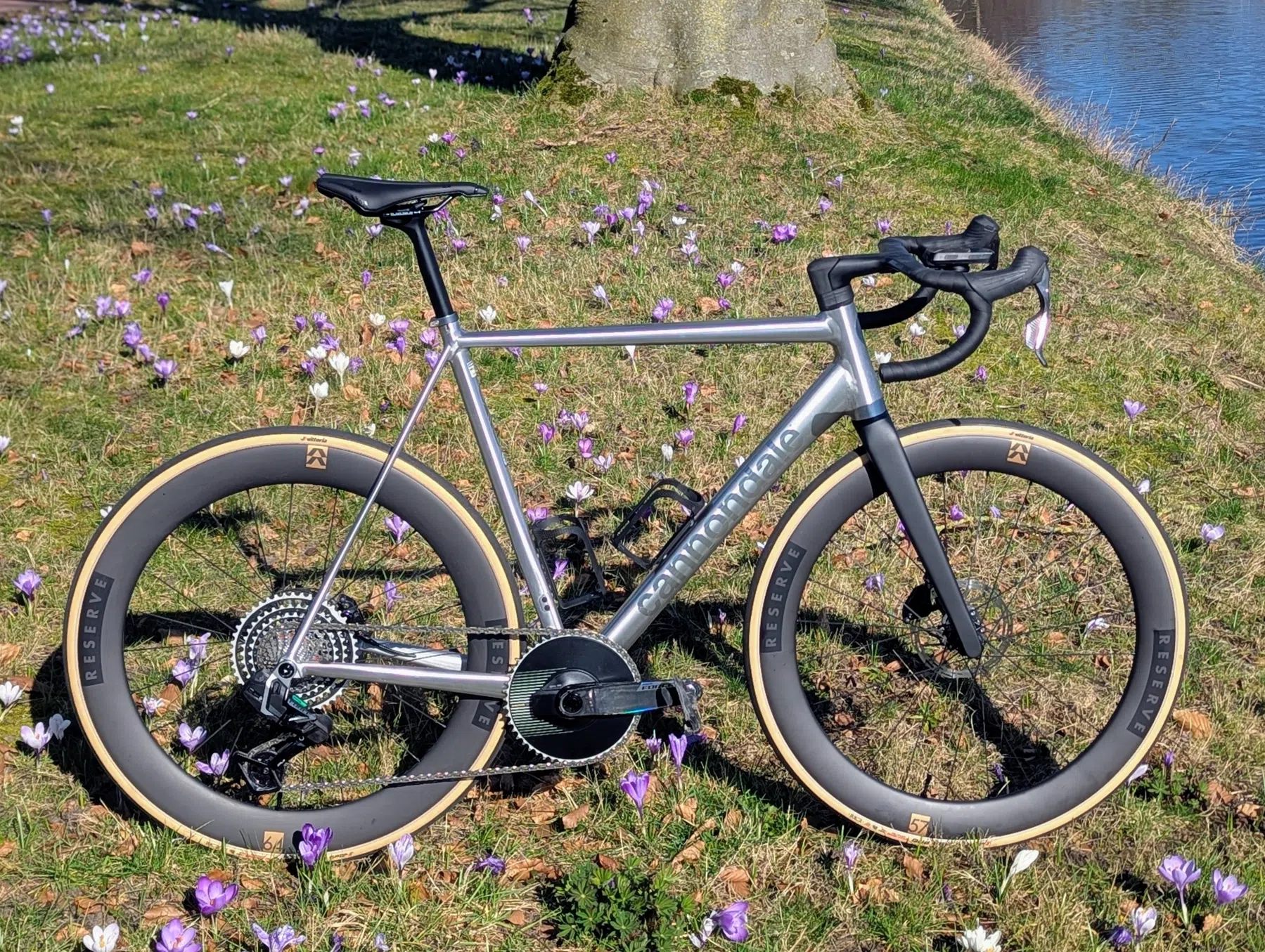 Cannondale CAAD14