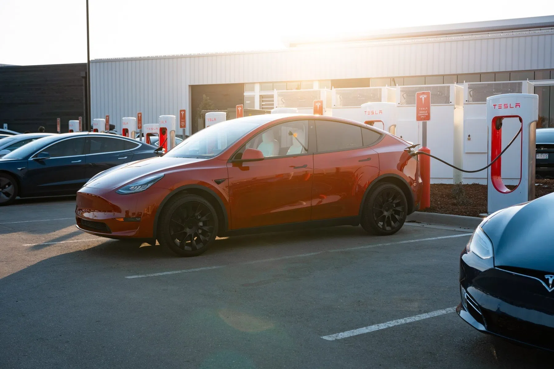Tesla Model Y aan Supercharger