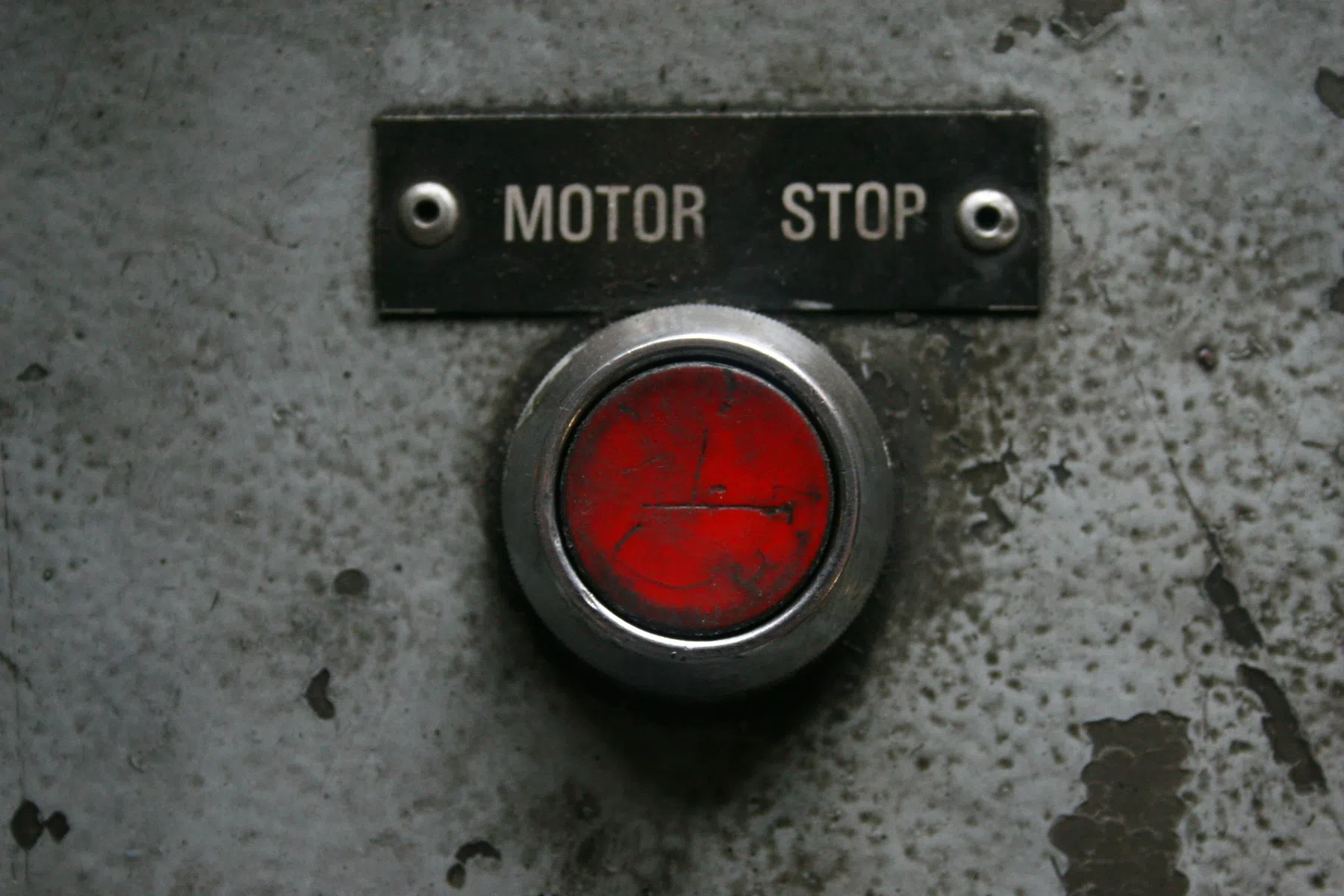 Photo by Hans Westbeek on Unsplash