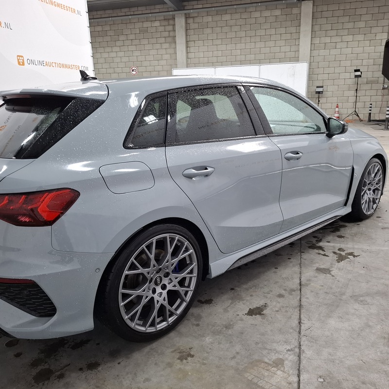 Audi RS3 performance edition Domeinen