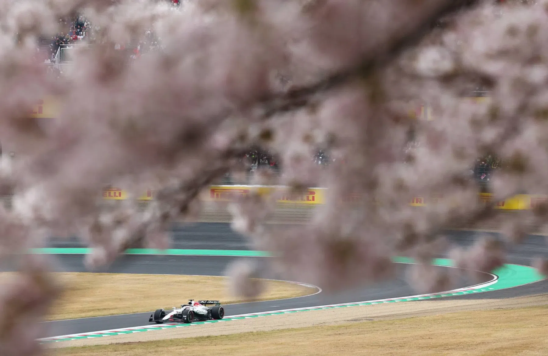 f1-suzuka-2025-bloesem-boom-verstappen-ver-weg