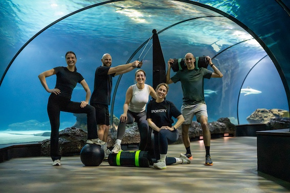 sporten in de dierentuin