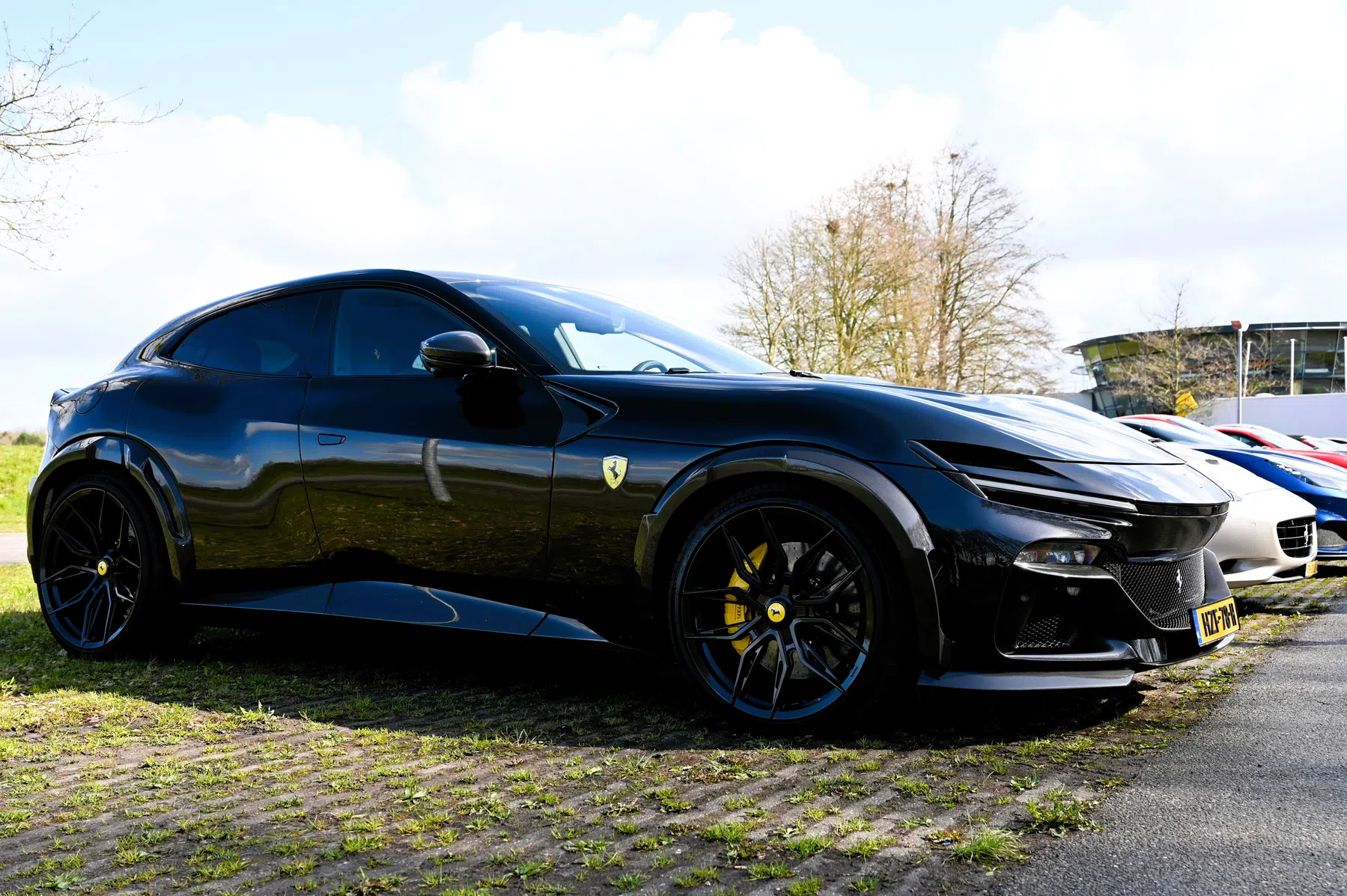 Ferrari Purosangue