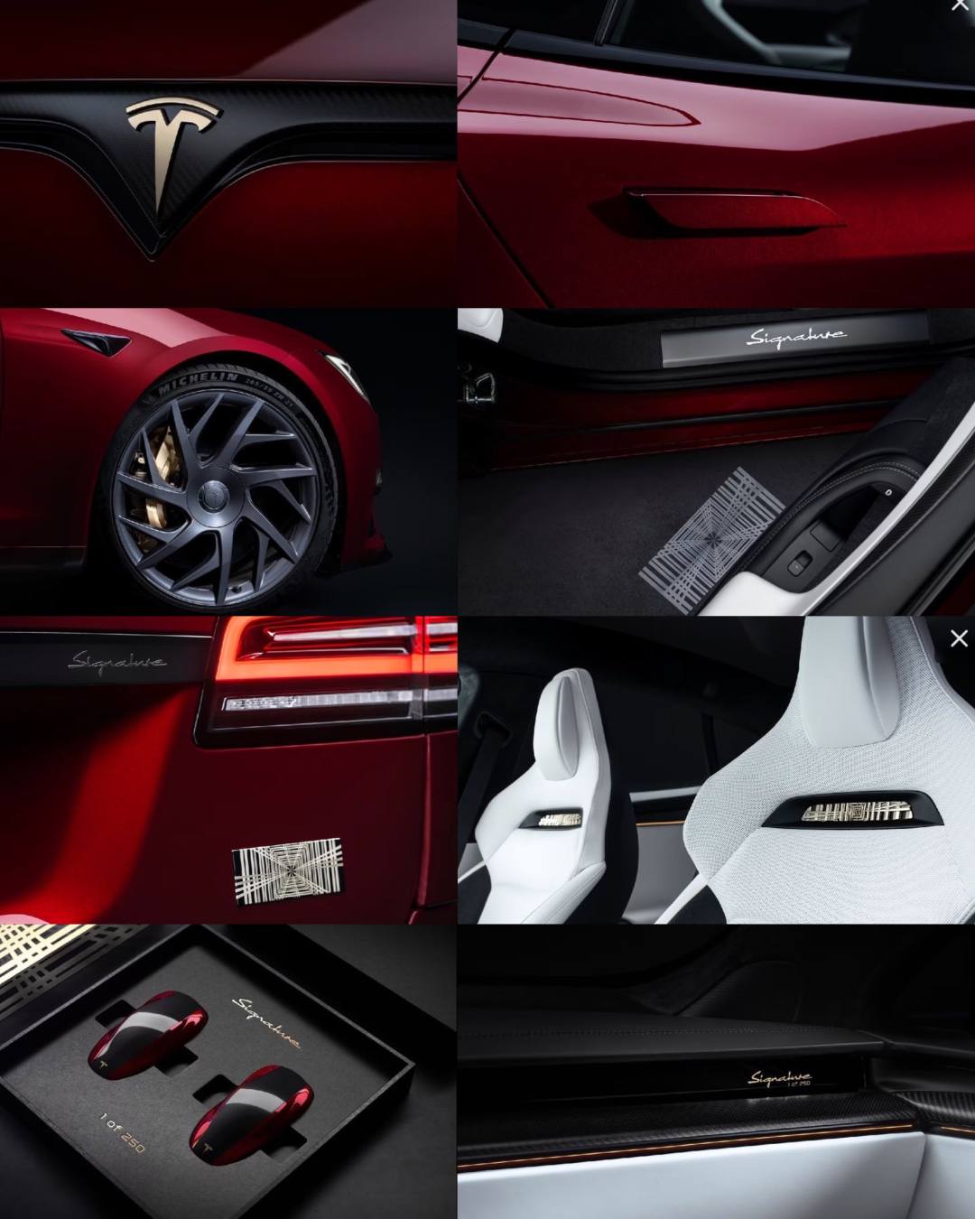 Details Tesla Model S en Model X Signature