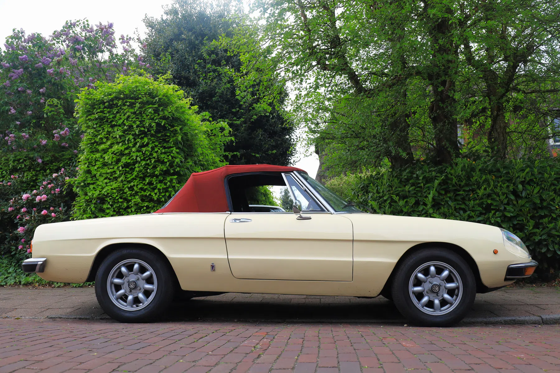 Alfa Romeo Spider