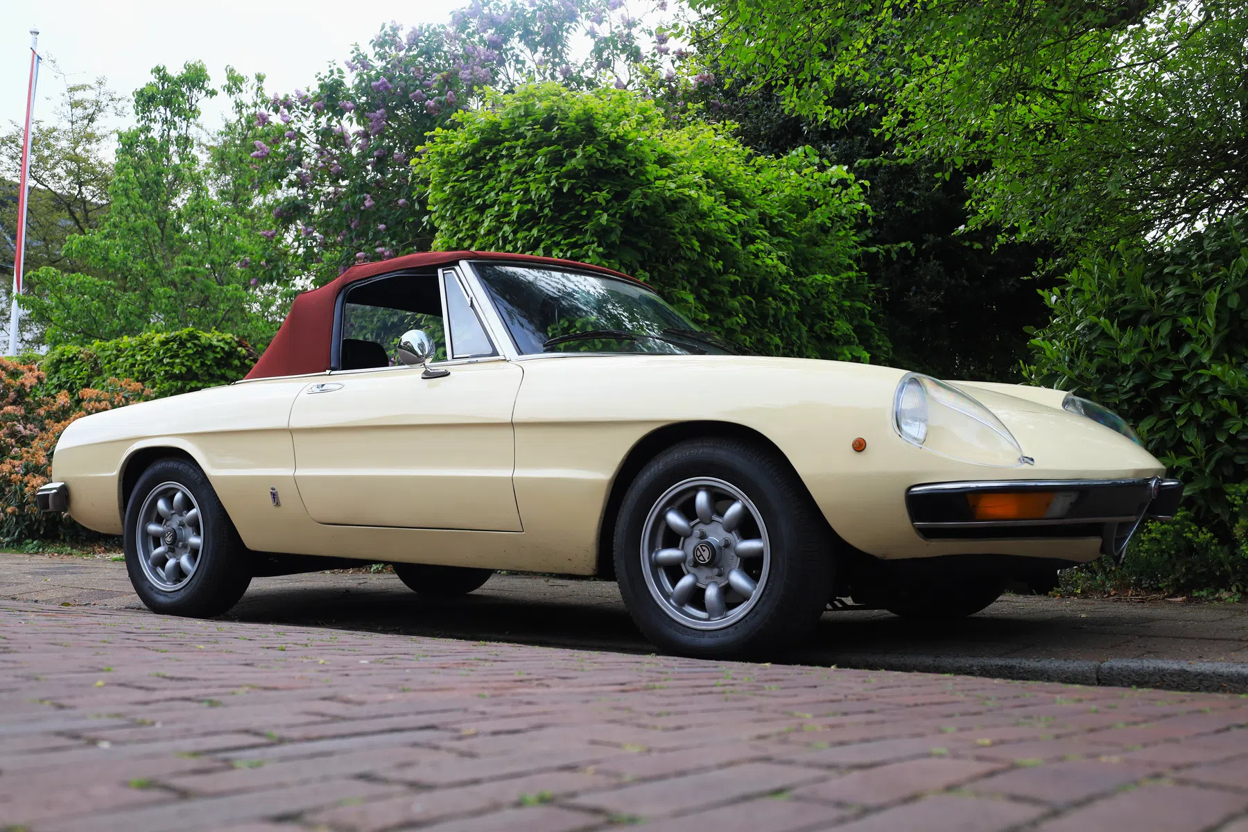 Alfa Romeo Spider