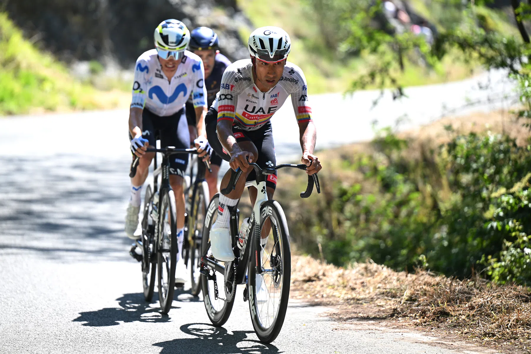 Giro d'Italia