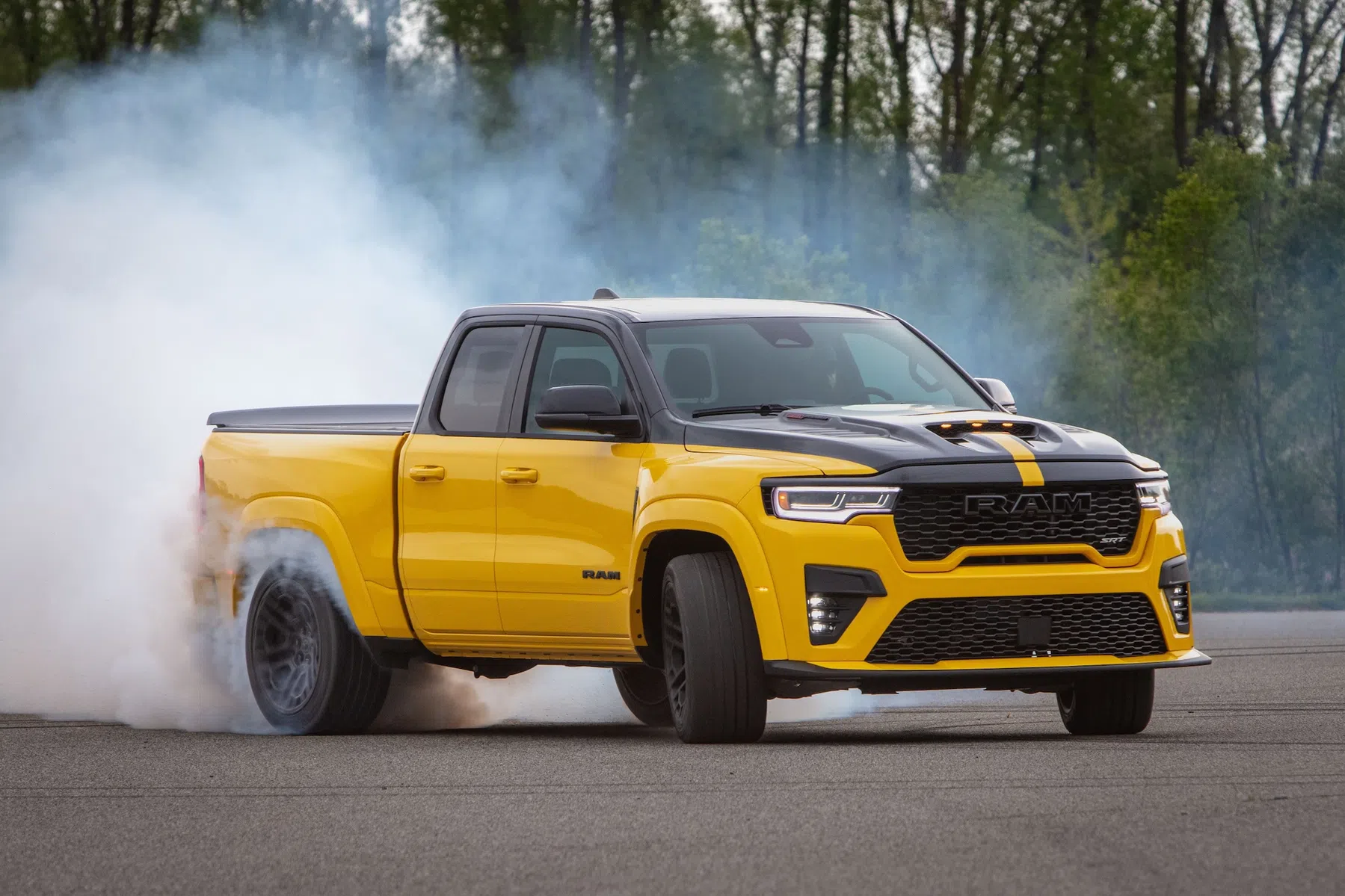 RAM Rumble Bee