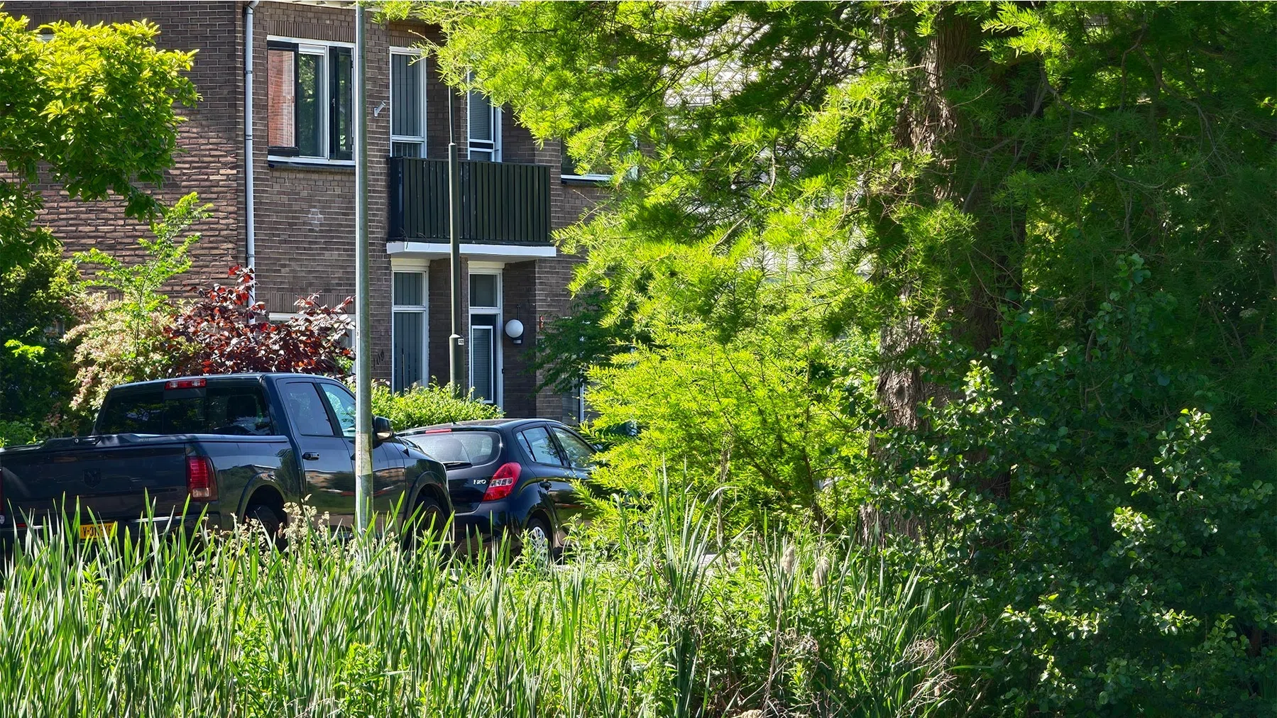 Foto gemaakt op 10x.