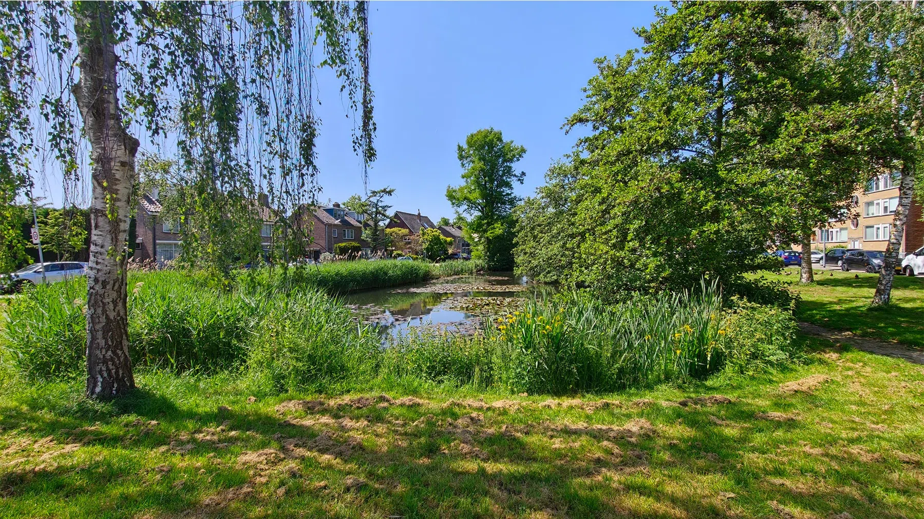 Foto gemaakt met groothoeklens.