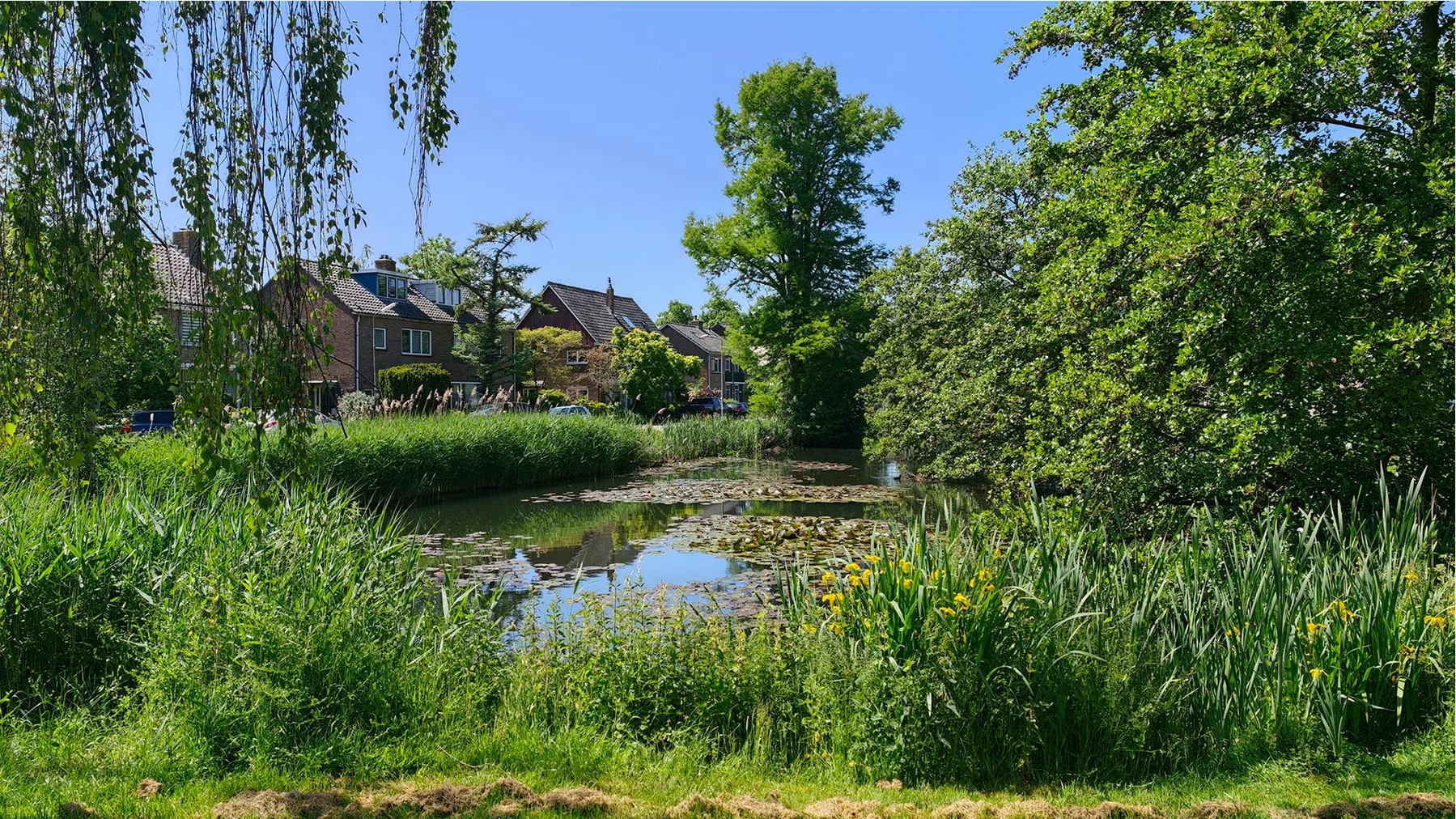 Foto gemaakt op 1x.