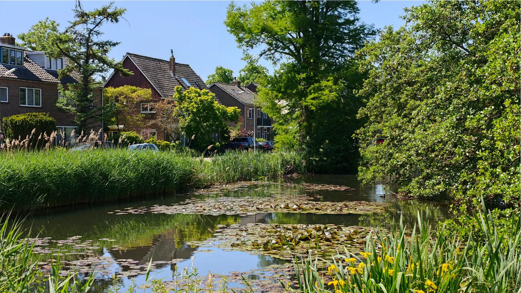 Foto gemaakt op 2x.