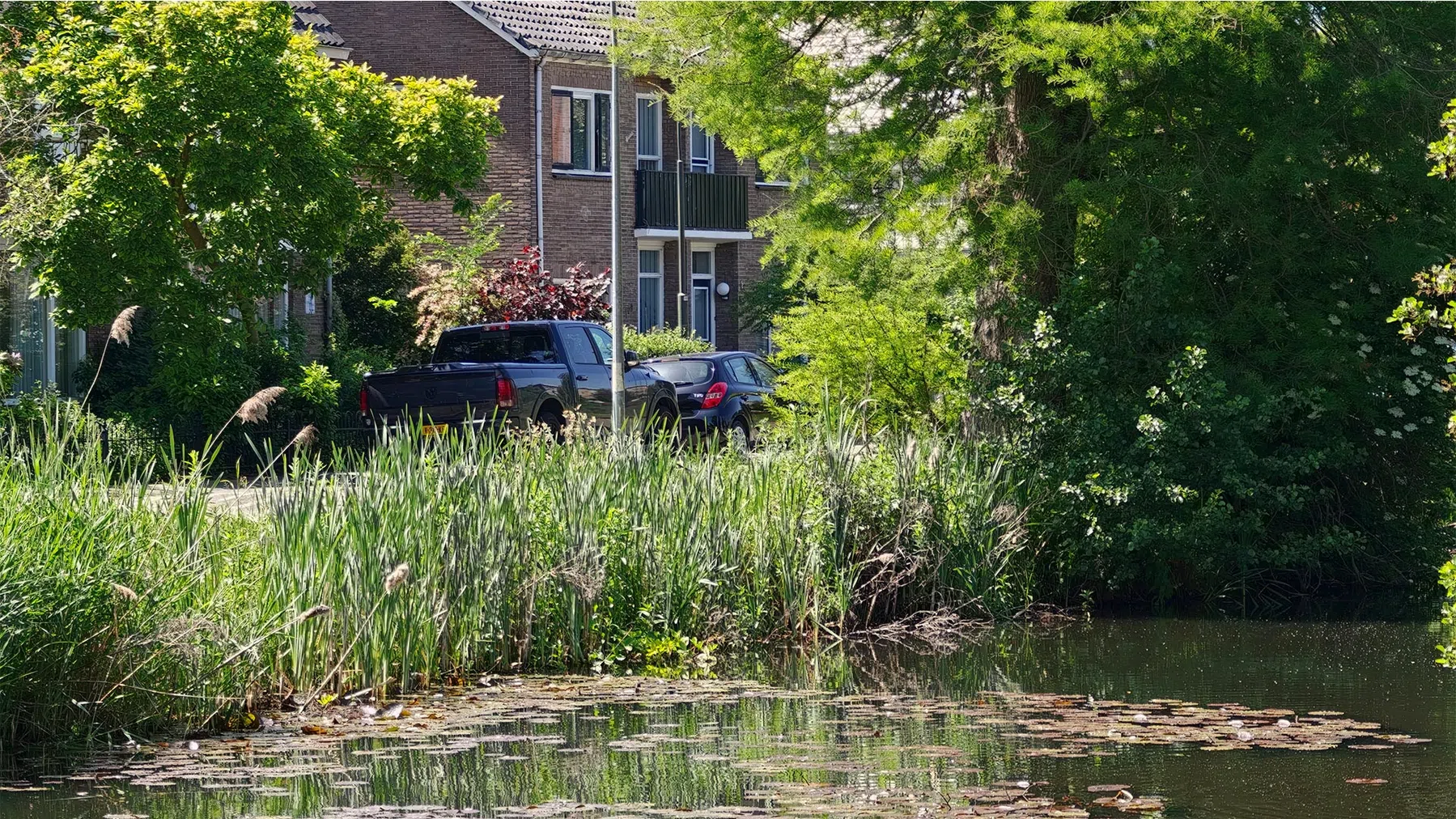 Foto gemaakt op 6x.