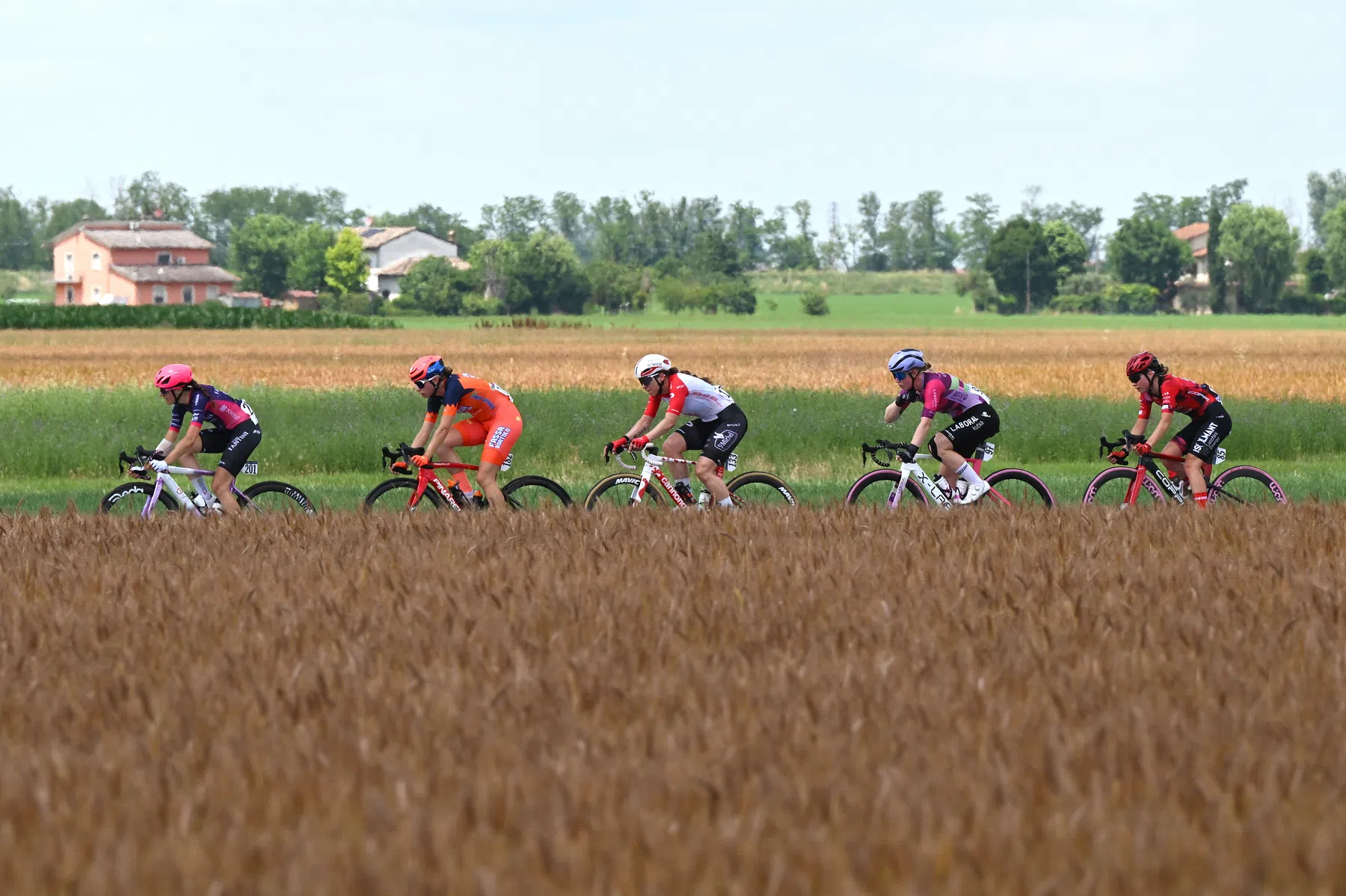 Giro d'Italia