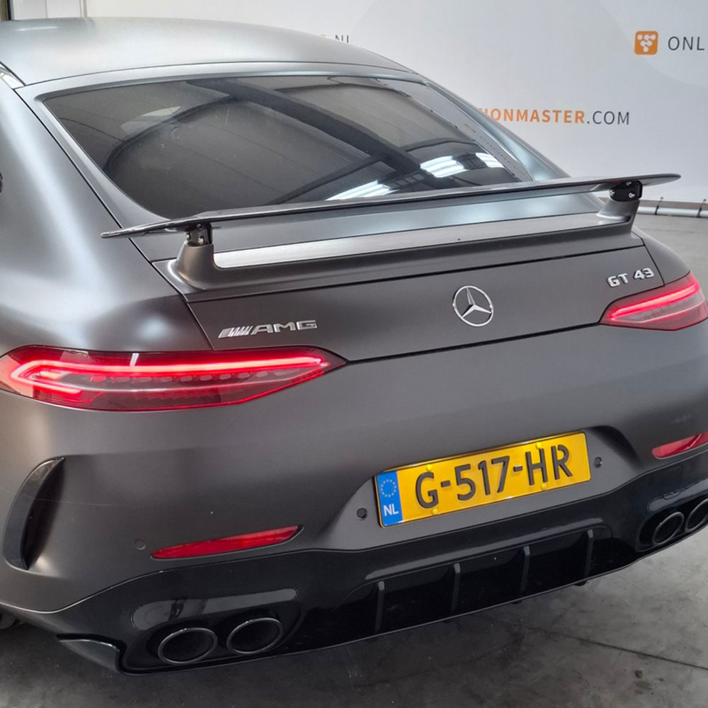 Mercedes-AMG GT 4-Door Domeinen