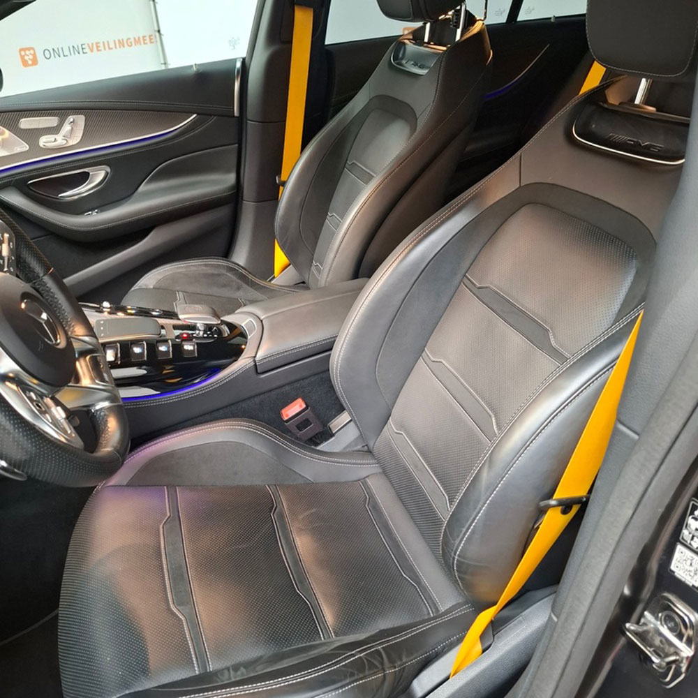 Mercedes-AMG GT 4-Door Domeinen
