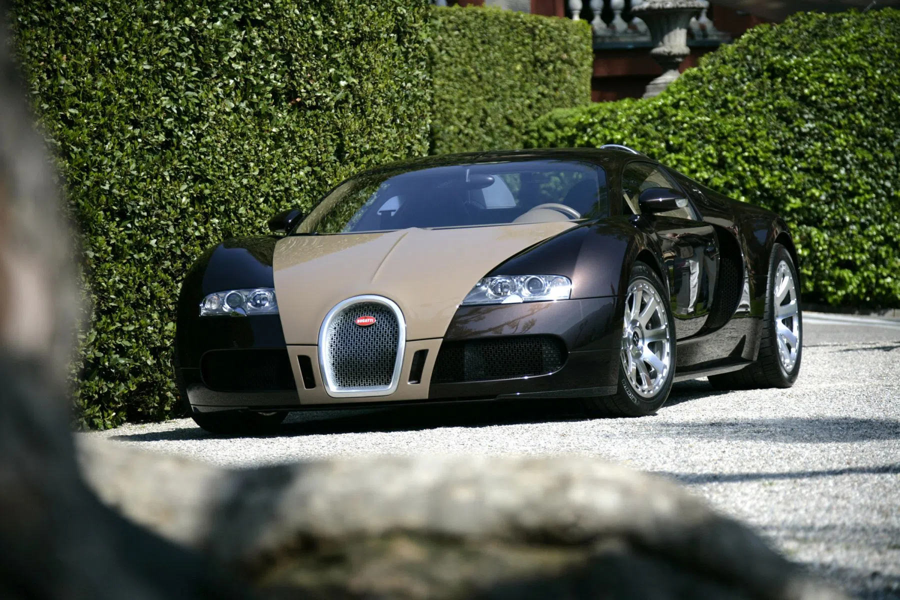 Bugatti Veyron Hermes