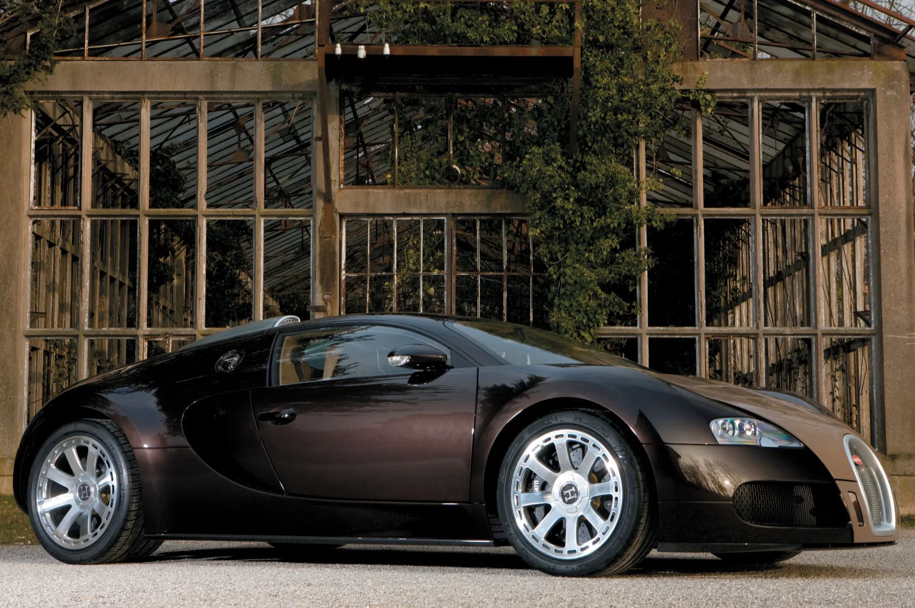 Bugatti Veyron Hermes
