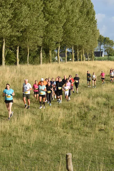 AERS Zomerlopen