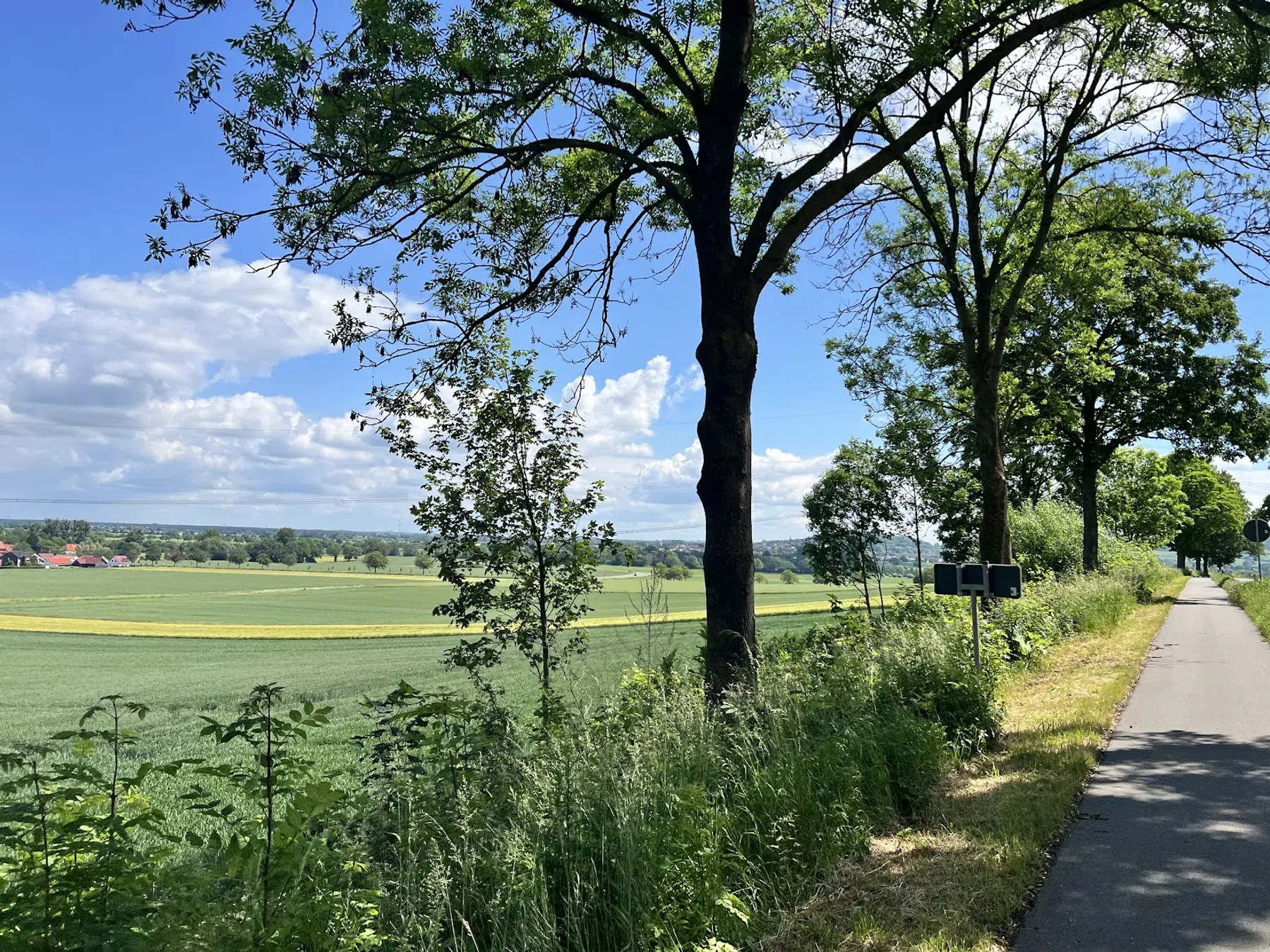 Lange wegen rechtdoor