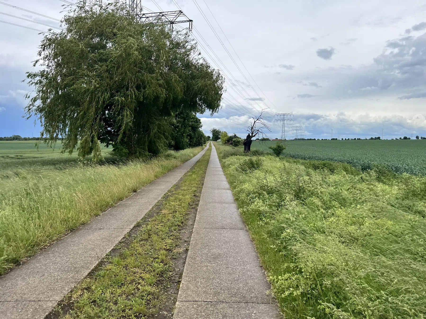 Weilandweggetjes