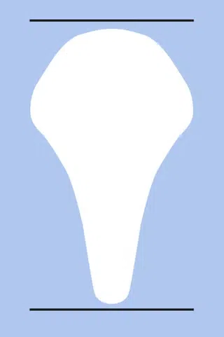 Een short nose