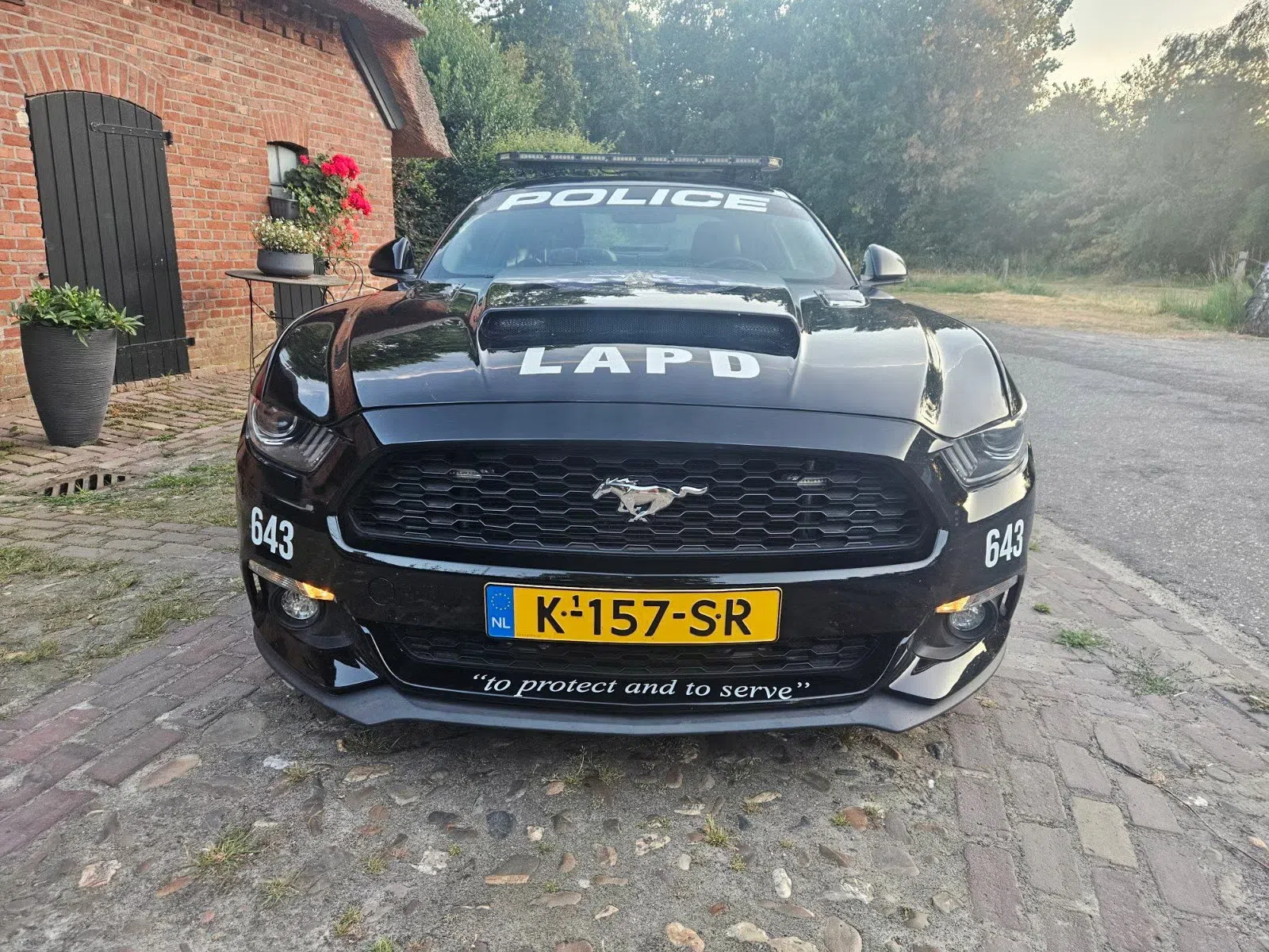 Politie Ford Mustang Marktplaats