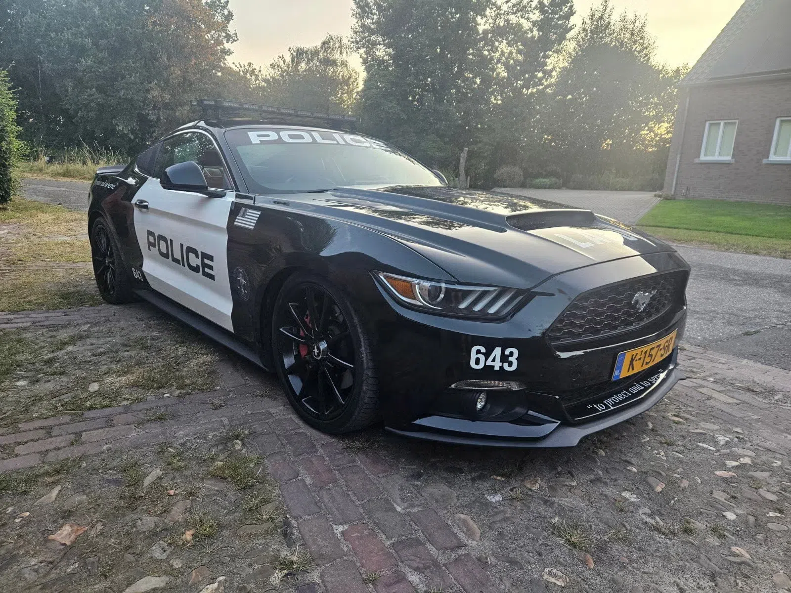 Politie Ford Mustang Marktplaats