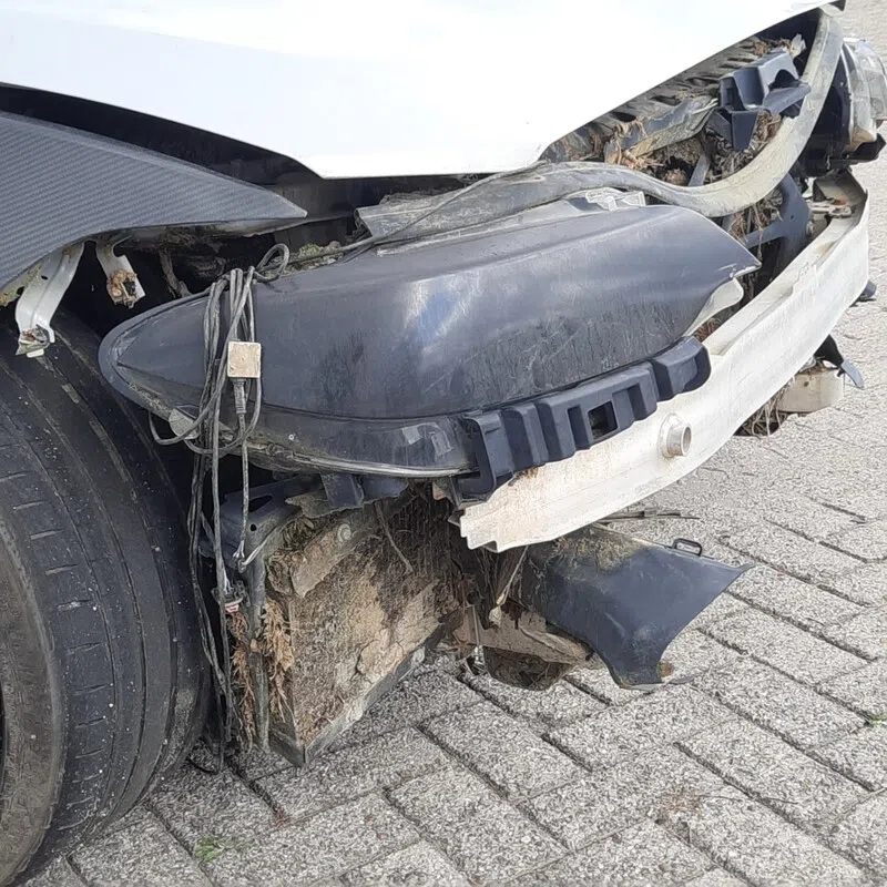 Gecrashte M2 Domeinen