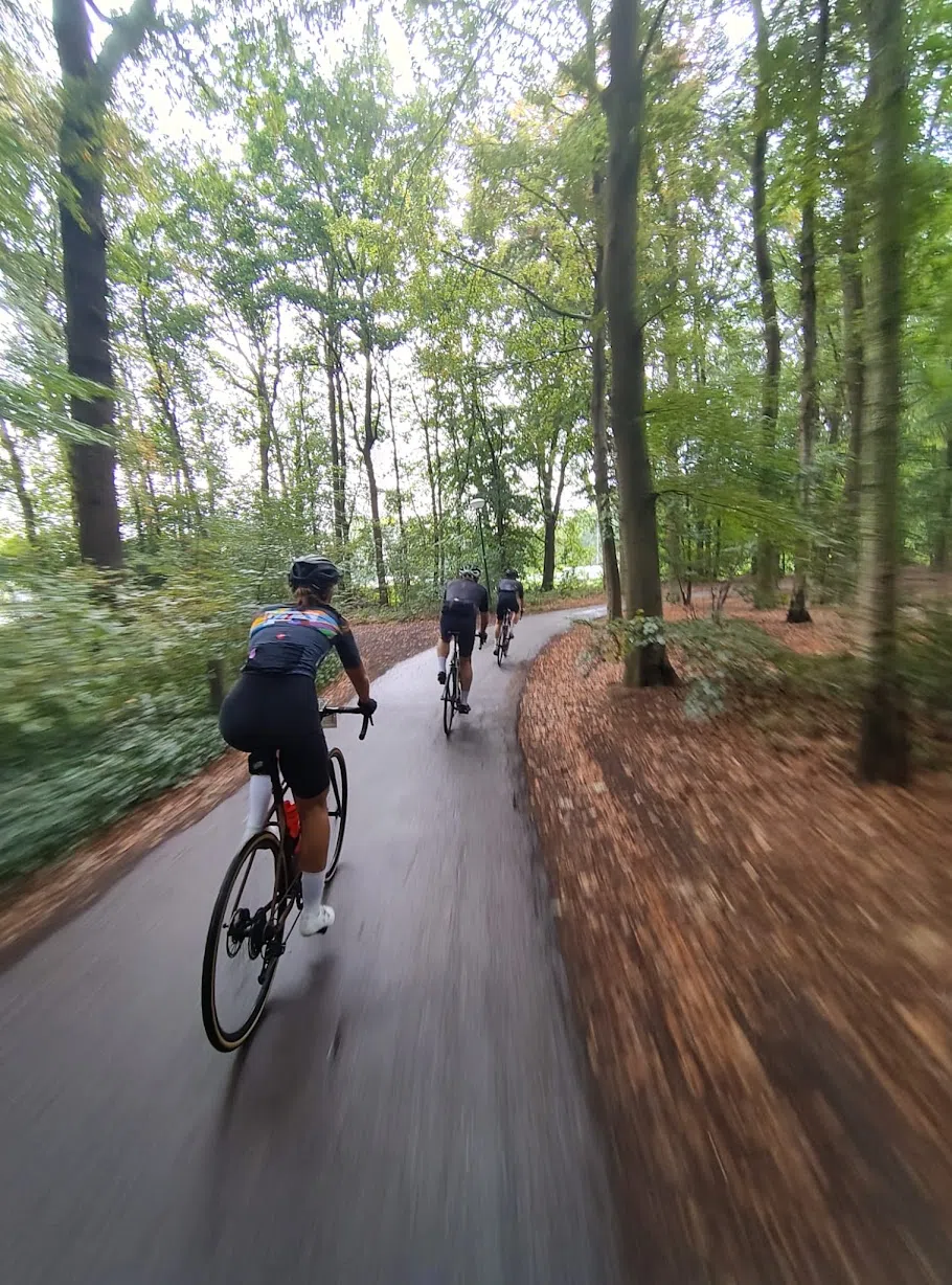 Bosweggetjes